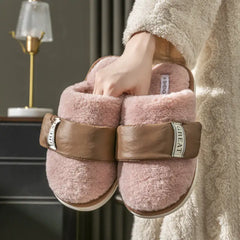Winter Indoor Slides